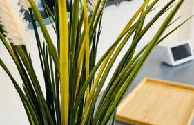 Luxury 2/2 private oasis w/Hot Tub walk to Beach - Foto 28