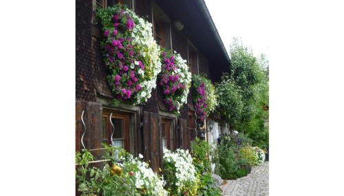 One-bedroom apartment - Foto 2, Other