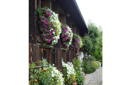 One-bedroom apartment - Foto 2