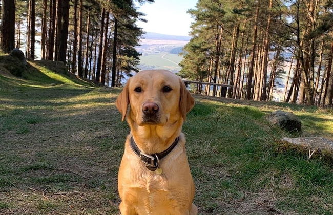 Swinton Bivouac - Photo 48