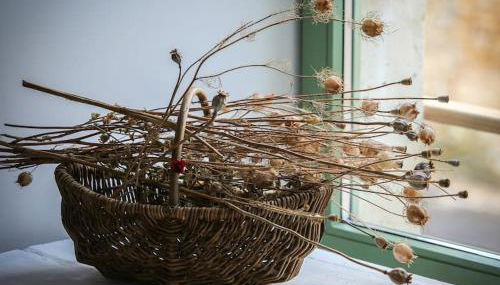 Appartement lumineux de 35m² en centre-ville - Foto 2