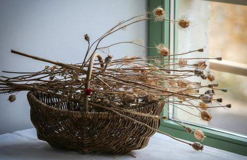 Appartement lumineux de 35m² en centre-ville - Foto 2