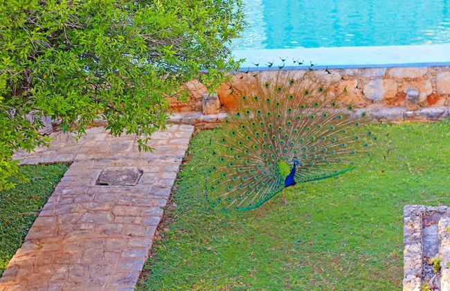 HACIENDA HISTÓRICA Blanca Flor Del Siglo XVI - Photo 17