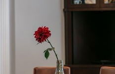 Plantation Acres Mansion 7 Bedroom Villa by RedAwning - Foto 53