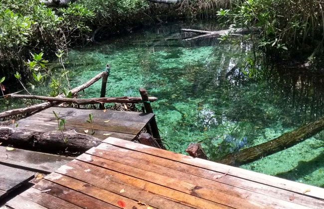 Tour di Los Petenes in motoscafo - Foto 5