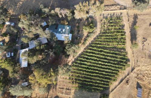 Delilah Ridge Winery Mid Mod Guesthouse - Foto 60