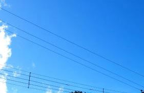 Cantinho Dona Cleide - Foto 50