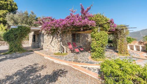 Finca El Gales Cortijo Los Olivos - Foto 4