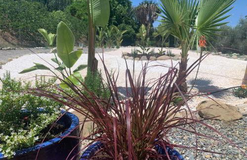 Los Chozones - Photo 36