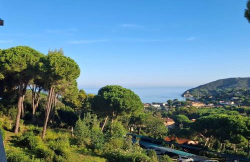 Residence Napoleon - MV - Foto 11