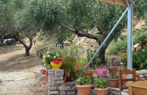 Haus mit Pool im Olivenhain - Foto 12