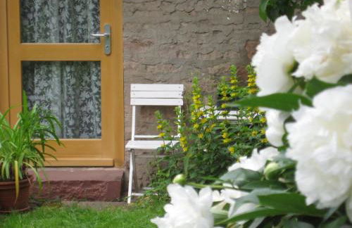 Ferienwohnung-Spessart - Foto 3