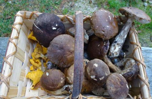 PETITE MAISON AU CALME AVEC VUE MAGNIFIQUE ! - Foto 35