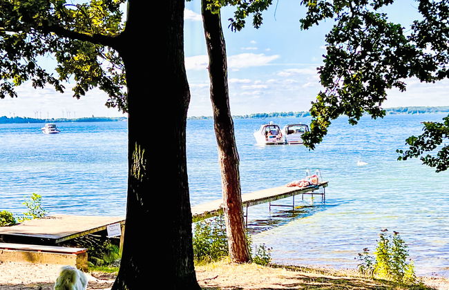 Möwennest - Foto 23