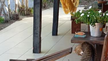 Beach Tucuns 77 - Foto 5