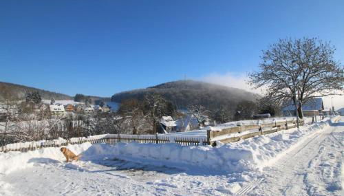 Blockhaus 3 - Foto 2