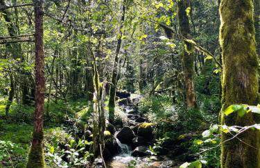 Ortighera Monolocale Relax sulla ciclabile - Foto 20