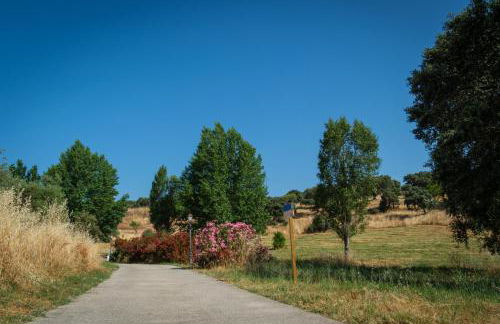 Hamlet's Friends - Foto 119