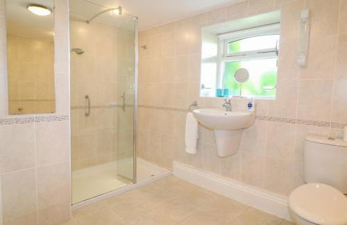 Forget-me-not - Foto 13