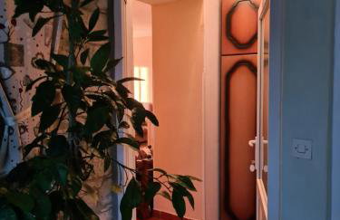 Apartmani Viola - Foto 25