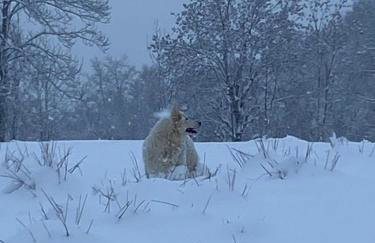 Rifugio Futopia - start here your journey to the discovering of the Alpi Graie - Foto 42