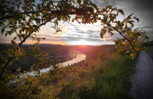 Apartment an der Mosel 1 - Foto 39