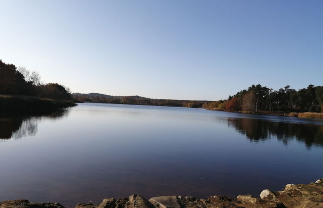 The Old Cook's House - Foto 8