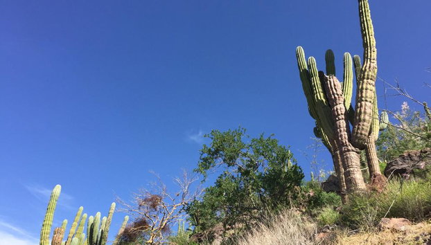 Caminata por las colinas de La Paz, La Paz - Central de Reservas