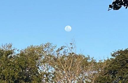 Búzios Praia da Ferradura Linda casa dentro de Condomínio com toda infraestrutura - água e luz inclusos na tarifa - Foto 11