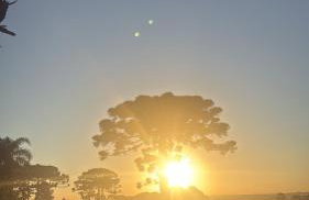 Chácara pontarolo - Foto 17