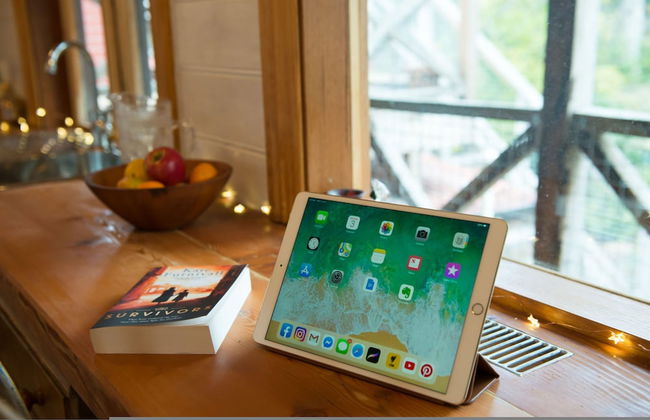 Adelaide Hills Camellia Cottage Wifi - Photo 20