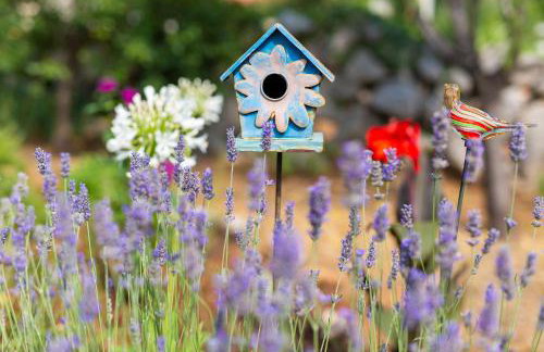 Holiday Home Lavanda - Foto 37