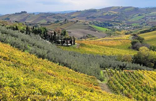 Agriturismo Fiorano - Foto 80