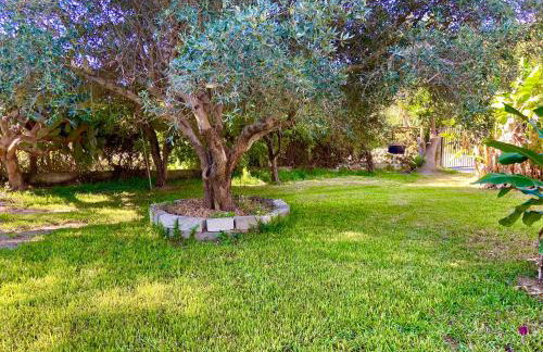 Cottage House - Foto 12