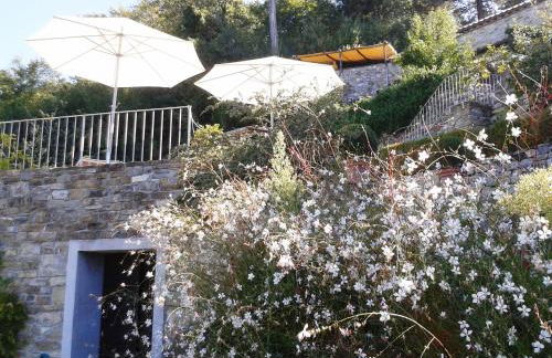 Villa Migliorati - Foto 31