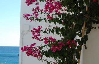 Fantastica casa in stile mediterraneo - Al Ficodindia - Foto 24