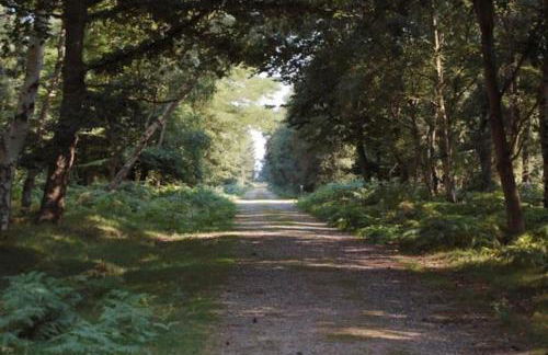 Kingfisher Cottage - Woodbridge - Foto 44