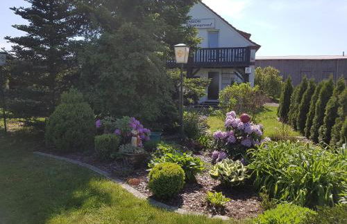 Pension zum Wiesengrund - Photo 14