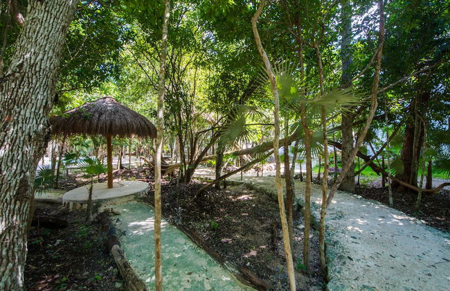 Tu Casa Condos - Photo 25