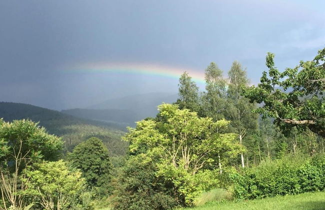 Bauernhof in Spandlberg am Hohe Bogen - Foto 39