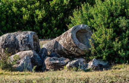 Agriturismo Carrucana - Foto 38