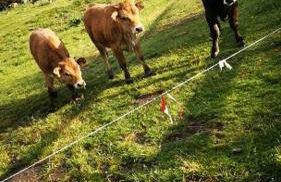 Apt confortable au pied des pistes et de la forêt - Foto 51