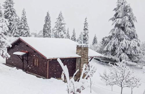 Quinta OUTONO DOURADO - Foto 63