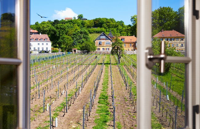Ferienwohnungen Haus Steinbach - Foto 36