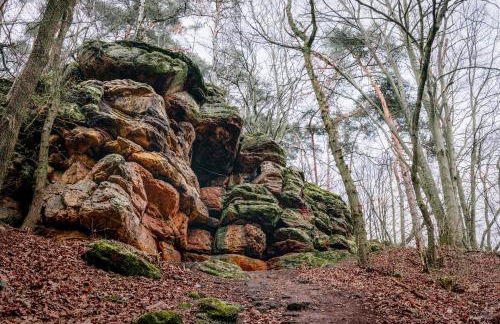 Ferienwohnung Graf Heinrich - Foto 19