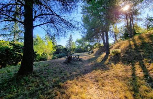 Villa in Pouzols with Private Pool & Vineyards - Foto 33