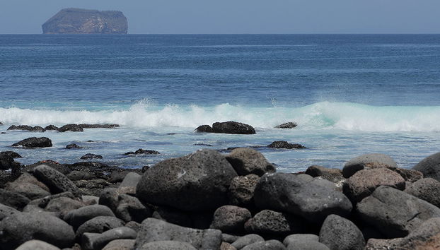 North Seymour Island Full Day Tour - Photo 3