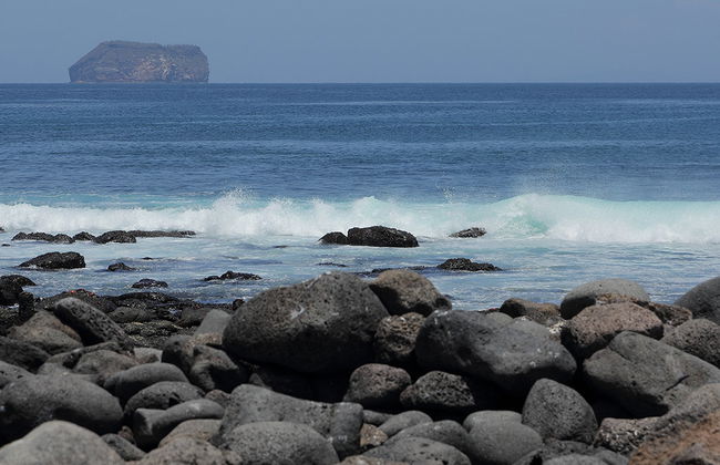 North Seymour Island Full Day Tour - Photo 3