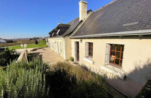 Gîte viticole tout inclus, jardin 3000m², vélos offerts, proche Saumur-Chinon-Langeais - FR-1-381-606 - Foto 35