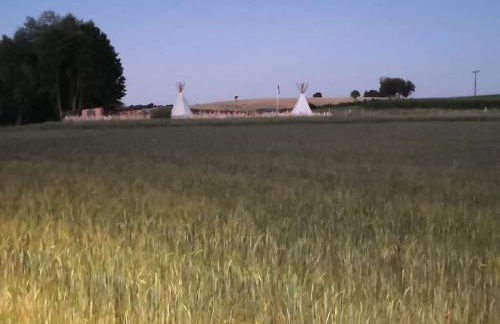 Reiterhof vom Litzlbach - Foto 27